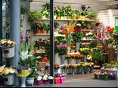 floral shop with great