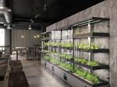 calgary micro farm business