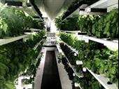 saskatoon micro farm business