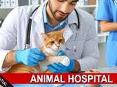 reputable animal hospital greater