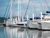 own a premier marina