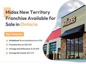 midas new territory franchise