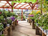 well established flower garden
