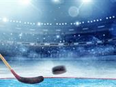 hockey-skills training franchise with