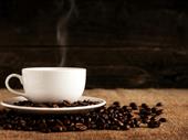 coffee franchise surrey bc