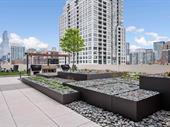 50-year old landscape construction