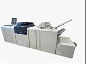 established printing business calgary