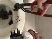 well established plumbing heating