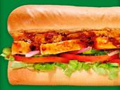 excellent subway franchise alberta