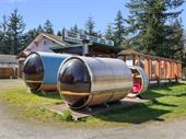 established cedar sauna sleeping