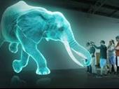 new hologram zoo franchise