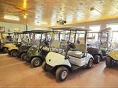 thriving authorized yamaha golf