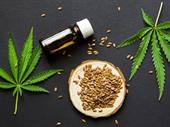 cannabis retail store toronto