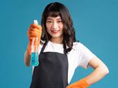 great online cleaning business