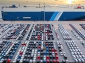 highly profitable car import