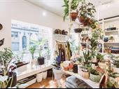 well-established giftware floral boutique