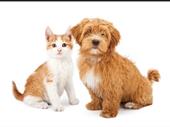 family owned pet specialty