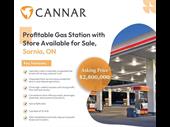 profitable gas station with