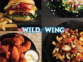 wild wing for sale