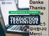 established technical translation company