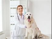 profitable pet clinic richmond