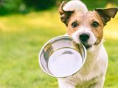 established premier pet supply