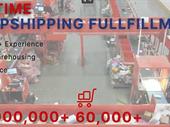 professional dropshipping business fully