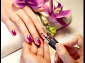 turnkey beauty wellness spa