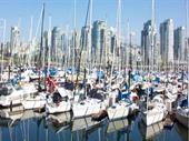 boat dealership marina within