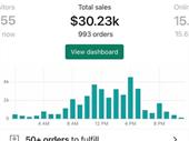 rare high-growth e-commerce business