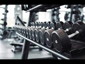 profitable fitness club for