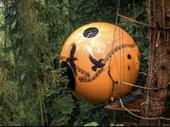 relocatable treehouse resort spherical