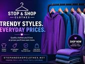 established high-profit dropshipping business