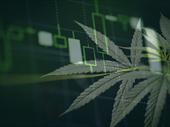 profitable veteran-focused virtual medical