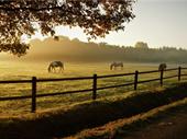 profitable equine supply store