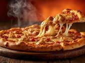 established profitable franchise pizzeria