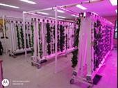 repurposed agribusiness hub vertical