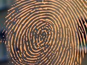 fingerprinting business