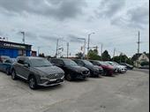 established multi-revenue automotive business