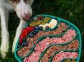 pet food manufacturer for