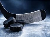 established hockey training skills