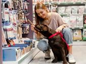 edmonton existing pet retail