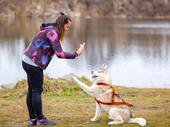 established two-location veterinary care