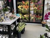 the only flower shop